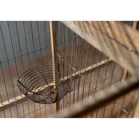 二つの小部屋二つの塔の鳥籠