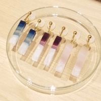 bisoa Stone Layer Earring / 1PAIR