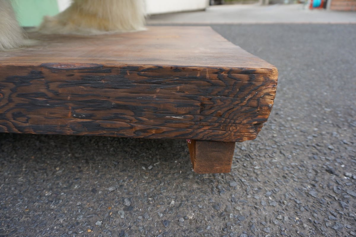 白熊剥製 | TokuHappyMondayWorks