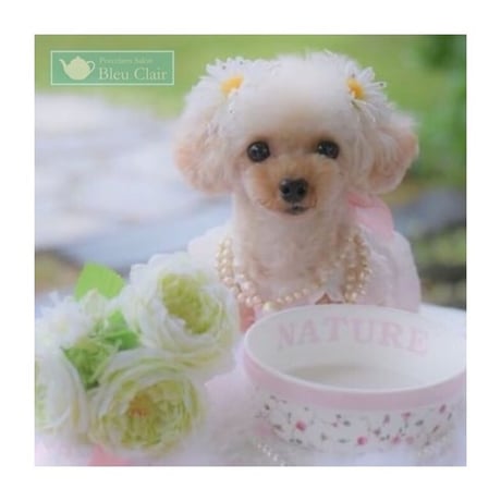 ❤︎再販❤︎ペットフードボウル【名入れ】