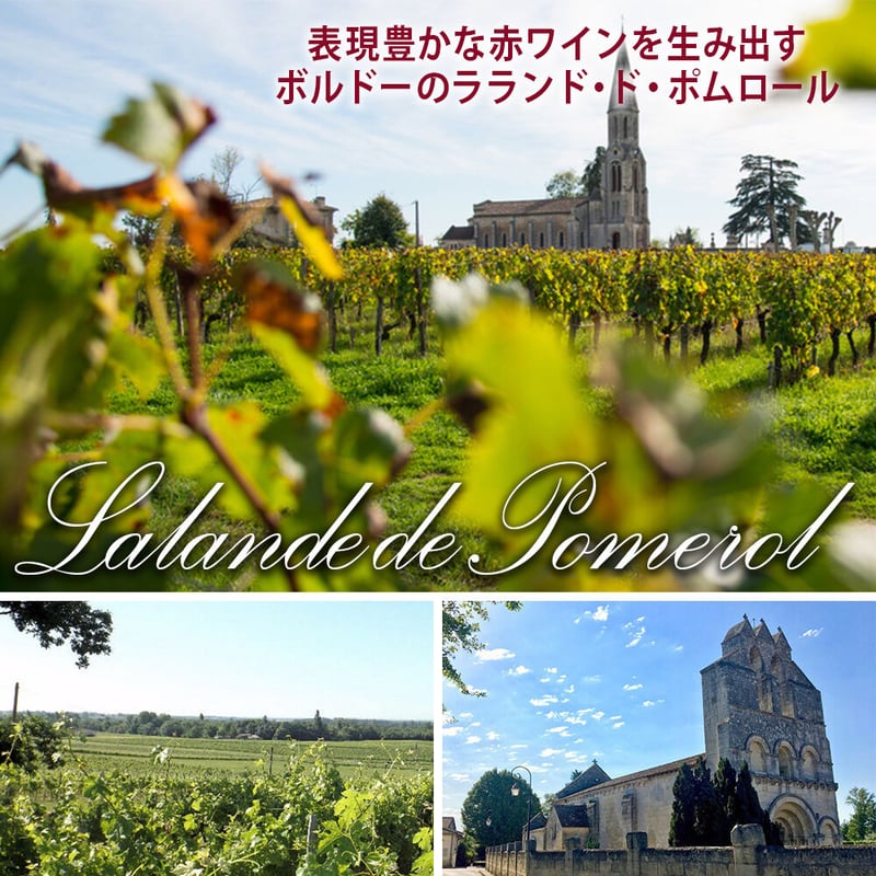 フランスワイン　　　2本 金賞受賞 フランス赤白ワインセット TS-CPA2 - 京王ネット