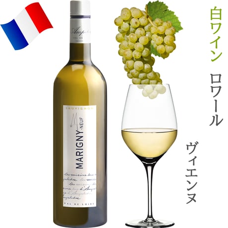 御祝 記念日 フランス ロワール 赤白泡 750ml × 5本 赤ワイン 白ワイン スパークリングワイン オーガニック BIO ビオワイン 飲み比べ 詰め合わせ 自宅用 《ギフト対応》送料無料