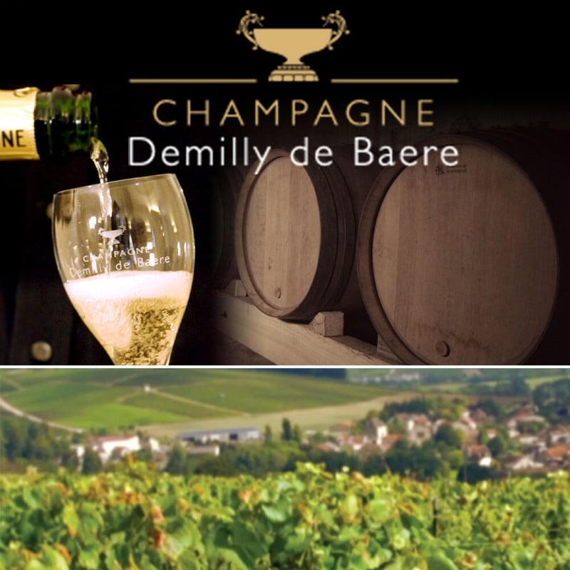 誕生日 御祝【シャンパンギフト】2本セット フランス 有名ブランド 辛