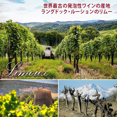 誕生日 フランス スパークリングワイン 白 『シュール・ダルク』「クレマン・ド・リムー・ブリュット」辛口 750ml ギフト箱 リボン付き メッセージカード付き