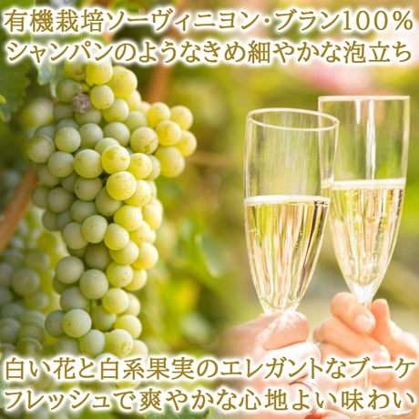 ノンアルスパークリング ワイン おしゃれ フランス プロヴァンス オーガニック プレミアム 減圧蒸留 750ml ギフト箱 リボン付き メッセージカード付き 誕生日 プレゼント