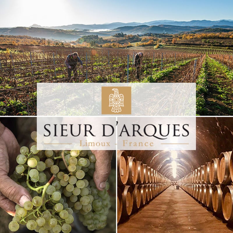 ワインセット おしゃれ フランスのワイン3本セット 赤・白