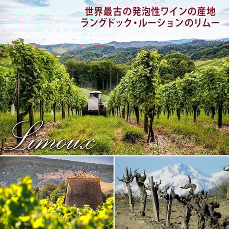 スパークリングワイン ギフト フランスのスパークリングワイン 白 『シュール・ダルク』「クレマン・トック・エ・クロシェ・ リミテッド・エディション」辛口 750ml