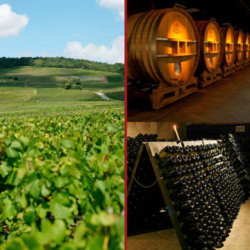 誕生日 御祝【シャンパンギフト】 フランス 「ブラン・ド・ノワール