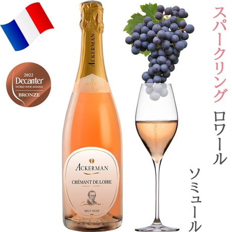 御祝 記念日 フランス ロワール 赤白泡 750ml × 5本 赤ワイン 白ワイン スパークリングワイン オーガニック BIO ビオワイン 飲み比べ 詰め合わせ 自宅用 《ギフト対応》送料無料