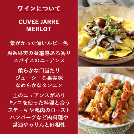 お中元 赤ワイン ギフト フランス ボルドー ナチュール 自然派 メルロー マルベック 辛口 2本 750ml お酒 赤ワイン シャトー・ド・ピオット 御中元 贈答 お祝 お礼 誕生日 内祝い