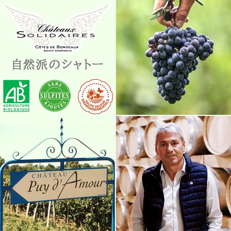 【ワインとハンカチのギフトセット】 フランス ボルドー コート・ド・ブール 辛口 バラ柄 750ml 国産 日本製 ハンカチタオル 綿100% 無撚糸 送料無料