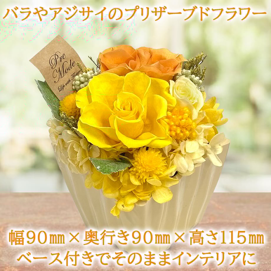 67f4a962ea2af023437536d3