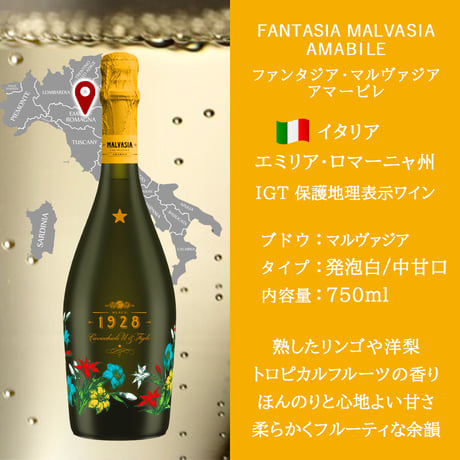 【味が選べるワインギフト】イタリア スパークリングワイン ギフト エミリアロマーニャ プロセッコ グレラ マルヴァジア モスカート 750ml ギフト箱付 送料無料