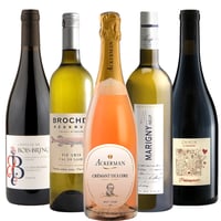 御祝 記念日 フランス ロワール 赤白泡 750ml × 5本 赤ワイン 白ワイン スパークリングワイン オーガニック BIO ビオワイン 飲み比べ 詰め合わせ 自宅用 《ギフト対応》送料無料