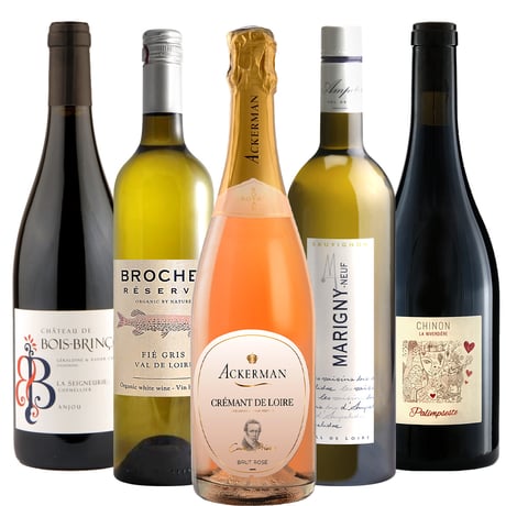 御祝 記念日 フランス ロワール 赤白泡 750ml × 5本 赤ワイン 白ワイン スパークリングワイン オーガニック BIO ビオワイン 飲み比べ 詰め合わせ 自宅用 《ギフト対応》送料無料