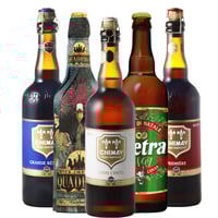 ヨーロッパ 三ヵ国 クラフト ビール 自宅用 贈り物 5本 セット 750ml x 5 ベルギー ドイツ フランス 飲み比べ パーティー 飲み会 ビール好き