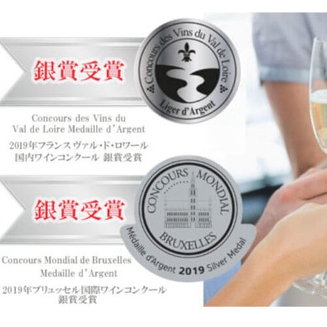 記念日 御祝 ワインギフト フランス・スパークリングワイン 『ジャイアンス』"ソミュール SAUMUR" 750ml ラッピング付き（OG15-JASAUM）