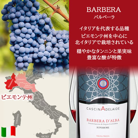 高級 ワインギフト イタリア 紅白 2本 750ml 赤ワイン バルベーラ ダルバ 白ワイン ランゲ ナシェッタ ノヴェッロ DOC ギフト箱付き 包装 メッセージカード 送料無料