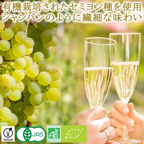 記念日 御祝 ノンアルコール スパークリング ワイン ボルドー セミヨン オーガニック 当日出荷 プレミアム グレープ ジュース 750ml ギフト箱 リボン付き メッセージカード付き