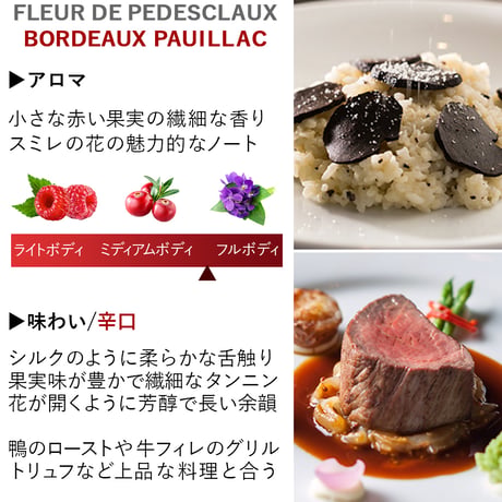 御祝 記念日 赤ワイン フランス ボルドー ポイヤック 辛口 1本 750ml フルール・ド・ペデスクロー 2019 シャトー・ペデスクロー カベルネ・ソーヴィニヨン メルロー