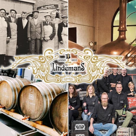 誕生日 お祝い おしゃれ プレゼント ビールギフト ベルギー『LINDEMANS』のフルーツビール飲み比べ  250m×3本 おしゃれ お礼 お返し
