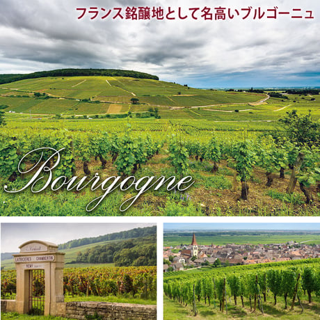 お祝い 誕生日 プレゼント ロゼワイン お花 ギフトセット 南フランス  ワイン「フレンチ・タッチ・グルナッシュ」プリザーブドフラワー ピンク OG35-215006）
