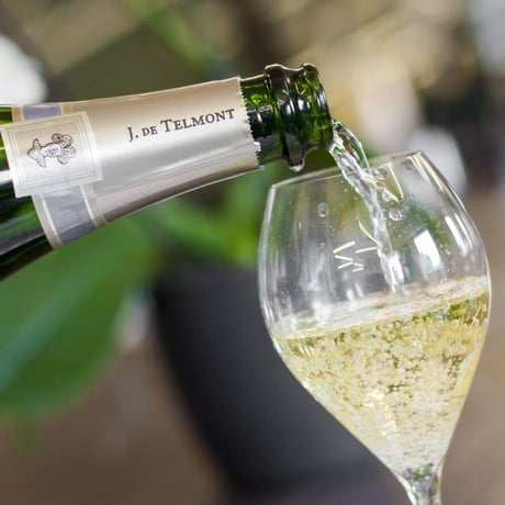誕生日 御祝【シャンパンギフト】 フランス 「ブラン・ド・ノワール・ブリュット」テルモン 2013年 750ml （61CDTBNNC0-w）ギフト箱 リボン付き メッセージカード付き
