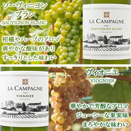 【ワイン6本 飲み比べセット】フランス  赤ワイン2本 白ワイン 2本 スパークリング 2本 750ml 6種 詰め合わせ ホームパーティー 家飲み 自宅用 簡易包装 送料無料