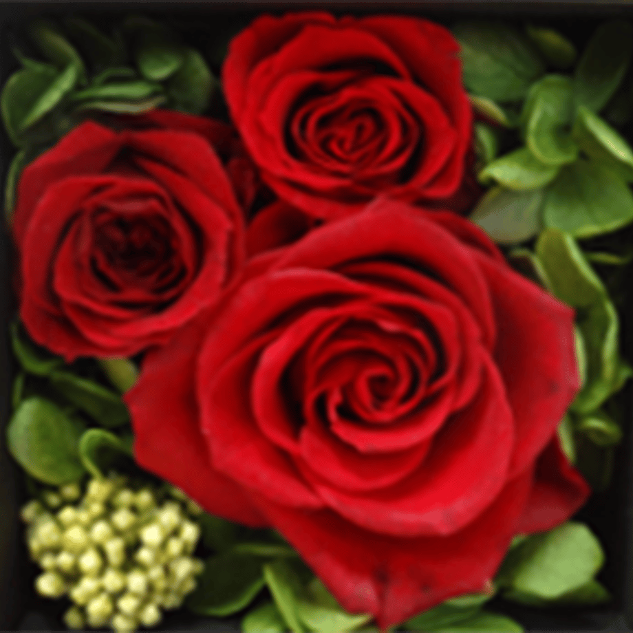 6350d8cd4aed19594f7fe88a