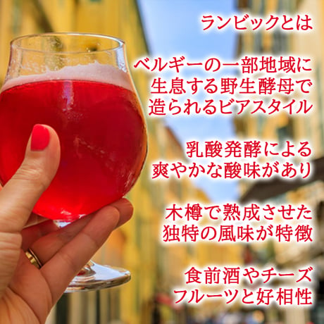 ビール スイーツ セット ギフト べルギー クラフトビール フルーツビール ランビック ワイルドエール 250ml コンポート チェリー ジャム ギフト箱付 送料無料
