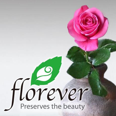 ピンクの薔薇のプリザーブドフラワー ギフト箱【ワイン・お花】フランス スパークリングワイン375ml やや甘口  リボン付き メッセージカード付き 送料無料