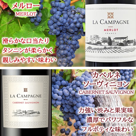 【ワイン6本 飲み比べセット】フランス  赤ワイン2本 白ワイン 2本 スパークリング 2本 750ml 6種 詰め合わせ ホームパーティー 家飲み 自宅用 簡易包装 送料無料