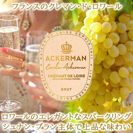 御祝 誕生日 フランス スパークリング 辛口 スパークリングワイン ロワール 750ml ギフト箱 リボン包装付き ワインギフト おしゃれ 女性喜ぶ お祝い お礼 お返し 内祝い