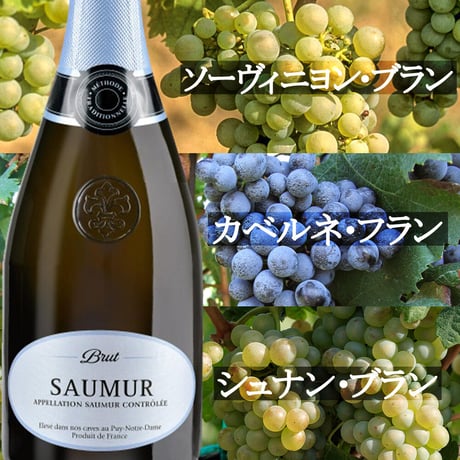 記念日 御祝 ワインギフト フランス・スパークリングワイン 『ジャイアンス』"ソミュール SAUMUR" 750ml ラッピング付き（OG15-JASAUM）