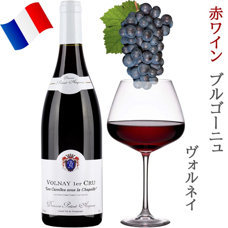 ブルゴーニュ赤ワイン 2本セット 【公式通販】