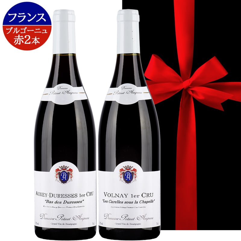 ブルゴーニュ赤ワイン2本セット ブルゴーニュ赤ワイン 2本セット 【公式通販】