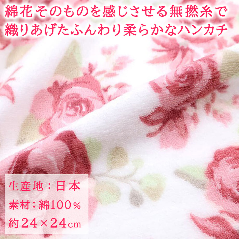 5e86cfc02a9a4224eebb54b2