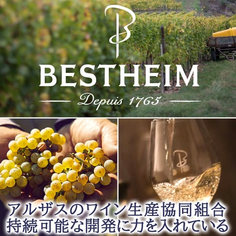 記念日 御祝 誕生日【 スパークリングワインセット】フランス「ブルゴーニュ」、「アルザス」、「コート・デュ・ローヌ」3地域の飲み比べ 3本セット ギフト箱 リボン付き メッセージカード付き