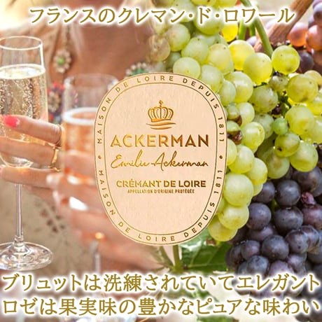 御祝 記念日 フランス スパークリング 辛口 ロゼ スパークリングワイン ロワール 750ml 2本 ギフト箱 リボン付き メッセージカード付き