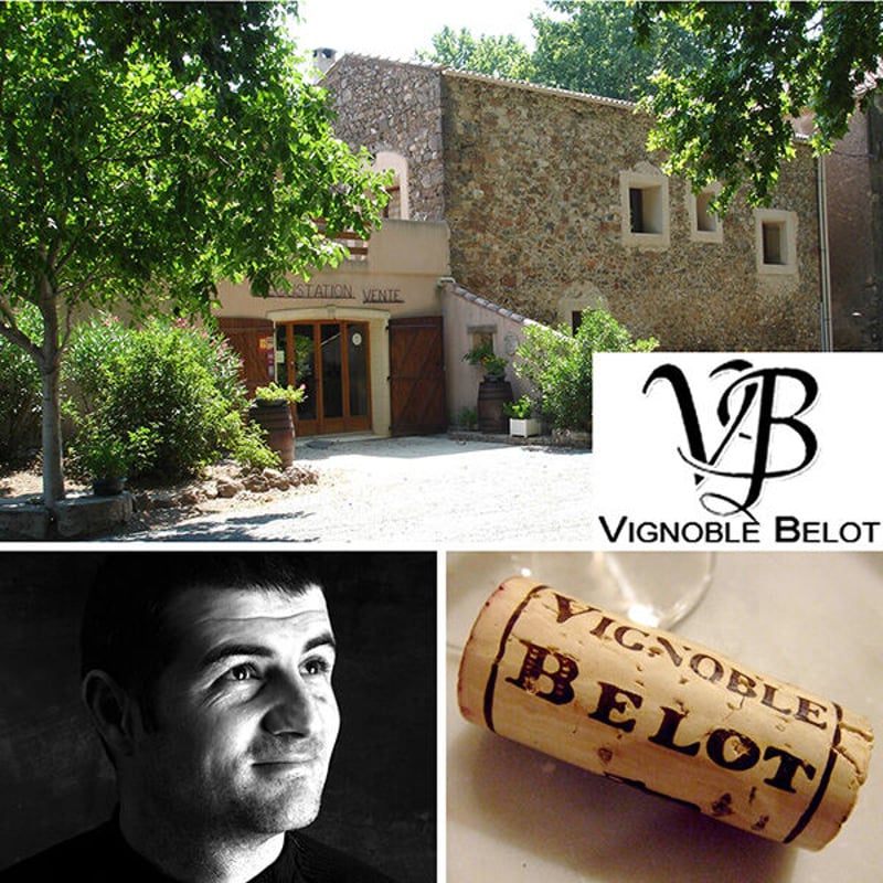 お祝い【ワイン紅白2本ギフト】フランス ラングドック