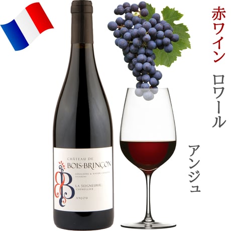 御祝 記念日 フランス ロワール 赤白泡 750ml × 5本 赤ワイン 白ワイン スパークリングワイン オーガニック BIO ビオワイン 飲み比べ 詰め合わせ 自宅用 《ギフト対応》送料無料