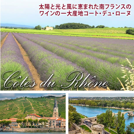 お祝い フランス 白ワイン オーガニック ル・クロ・ドゥ・カヴォー「ルイ・ドール」フランス コート・デュ・ローヌ地方 2019（21CCCLO9C0-w）
