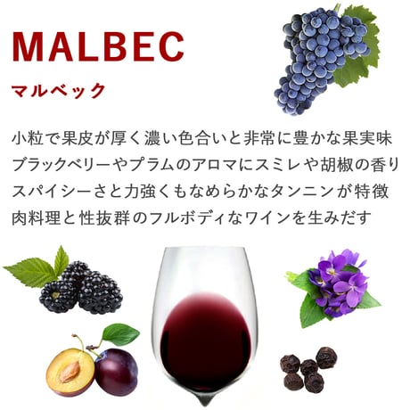 お中元 赤ワイン ギフト フランス ボルドー ナチュール 自然派 メルロー マルベック 辛口 2本 750ml お酒 赤ワイン シャトー・ド・ピオット 御中元 贈答 お祝 お礼 誕生日 内祝い