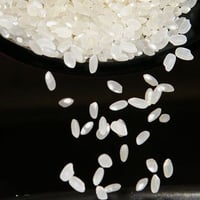 農薬化学肥料除草剤不使用【石川県産コシヒカリ「金穂波」令和7年産】１０㎏[ユネスコ世界ジオパークで育つお米]