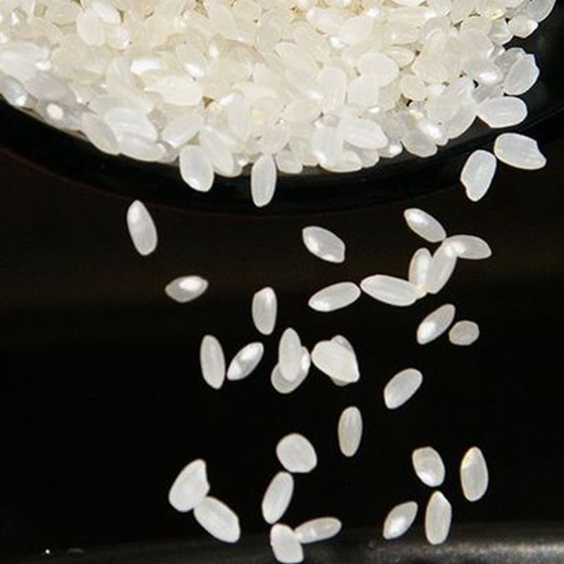 農薬化学肥料除草剤不使用【石川県産コシヒカリ「金穂波」令和7年産