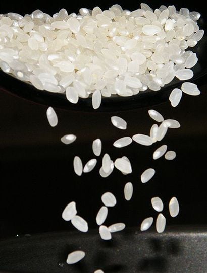 農薬化学肥料除草剤不使用【石川県産コシヒカリ「金穂波」令和7年産