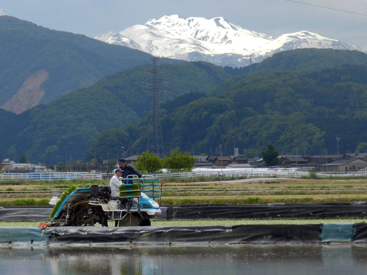 農薬化学肥料除草剤不使用【石川県産コシヒカリ「金穂波」令和7年産