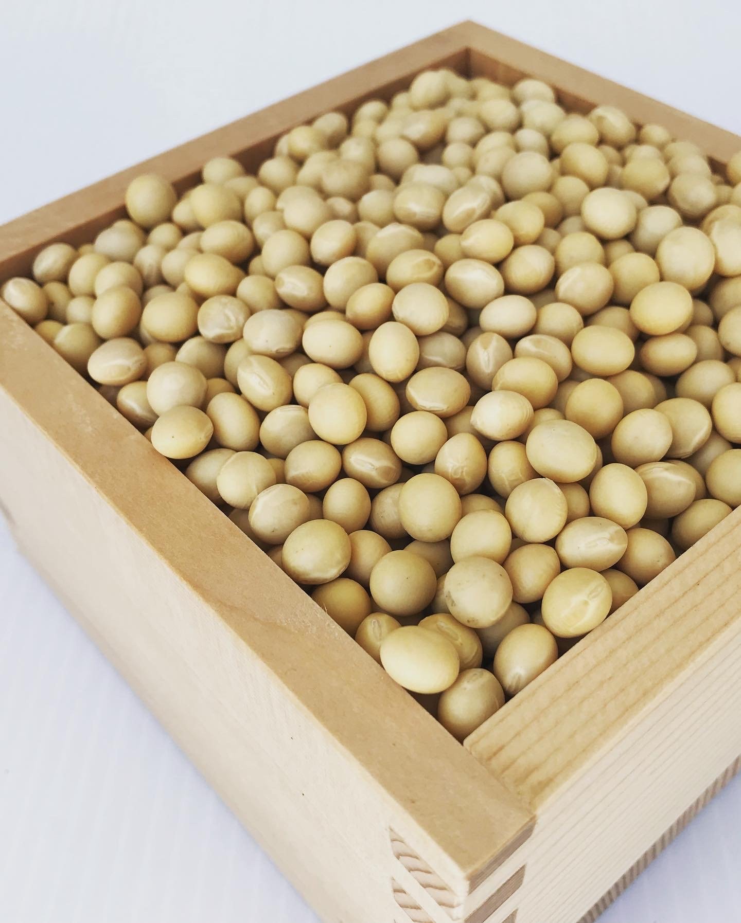 石川県産特別栽培「いのくち大豆」R7年産】品種：里のほほえみ(600g