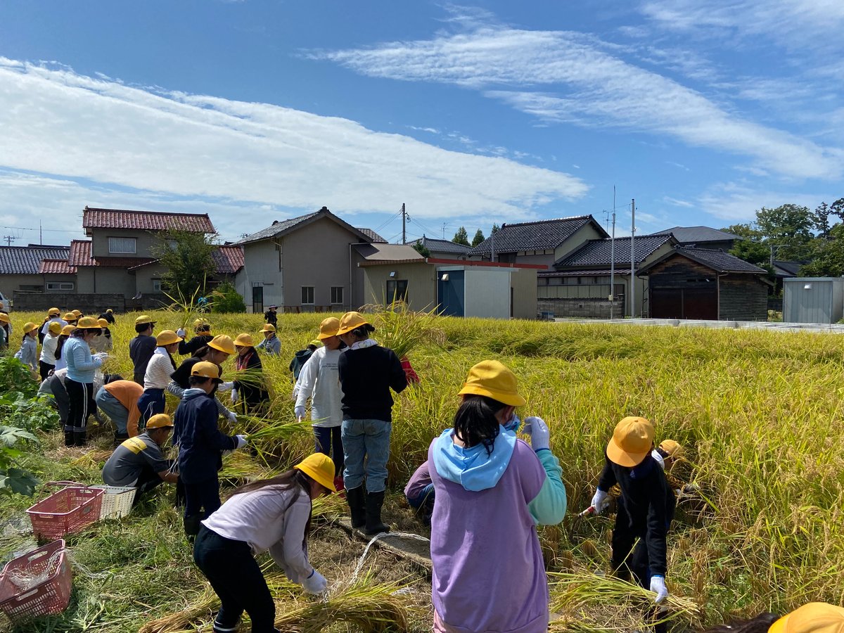 農薬化学肥料除草剤不使用【石川県産コシヒカリ「金穂波」令和7年産