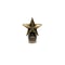 HBC-9-B "STAR" ValveCap